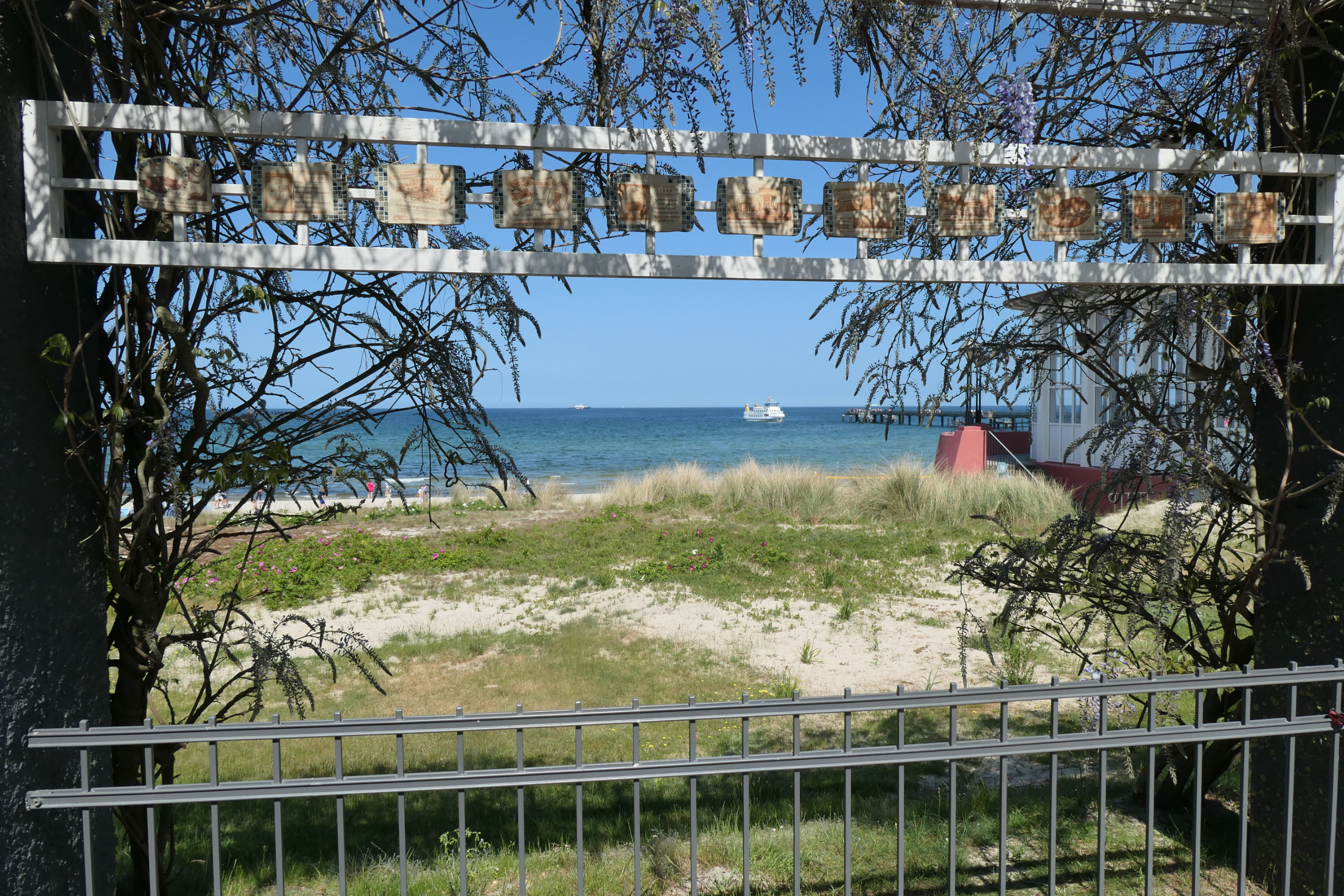 P1004556